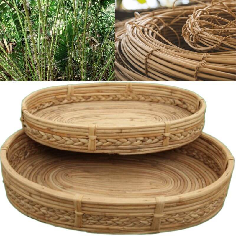 Cane or Rattan Products
