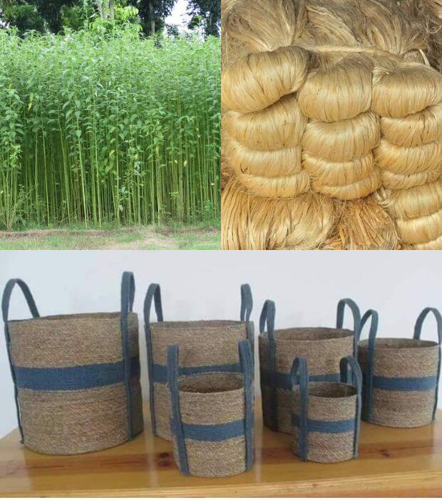 Jute Products